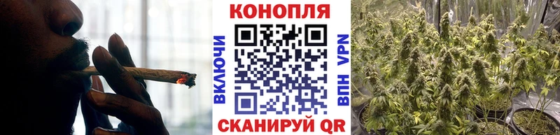 Бошки марихуана Amnesia  ОМГ ОМГ онион  Кемерово 